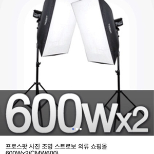 프로스팟스트로보600W x 2조세트