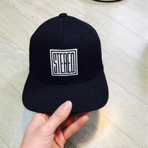 스테레오 바이널즈 스냅백