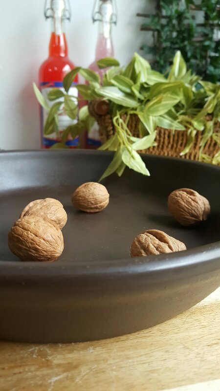 막국수 각종회무침 골뱅이소면 멜라민 그릇접시 안주--3