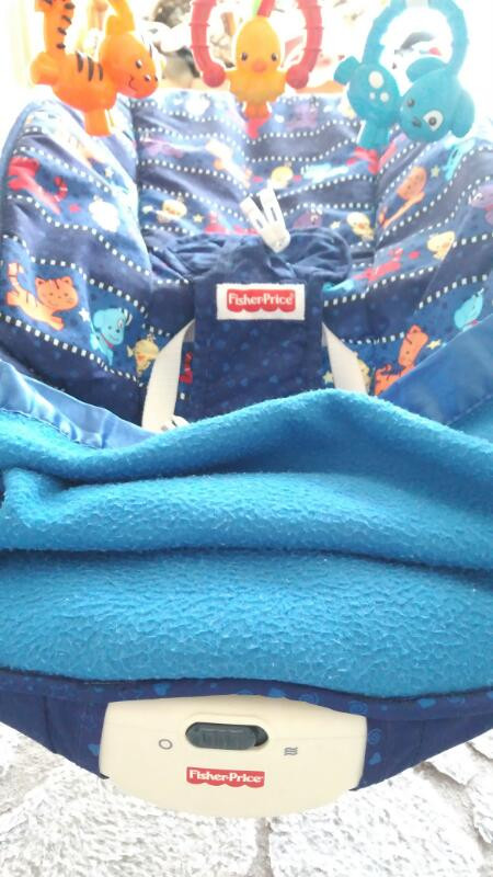 피셔프라이스 바운서 이미지
