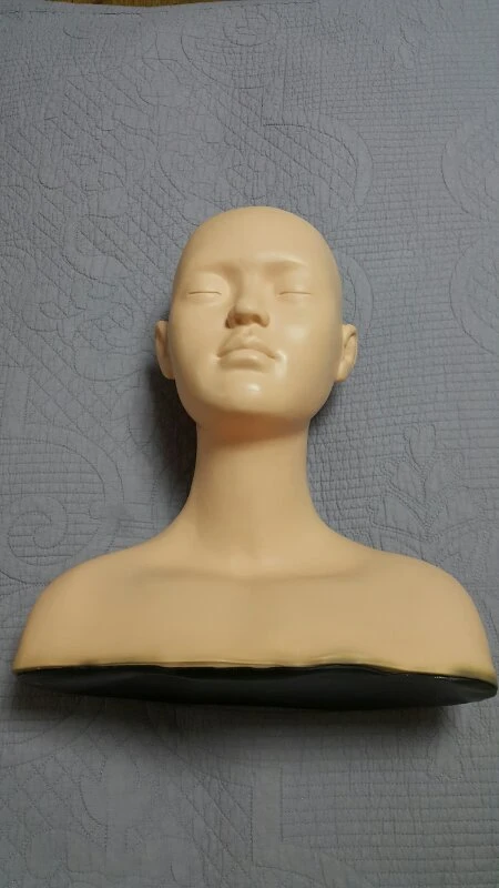 피부미용 실습용 마네킹판매 이미지