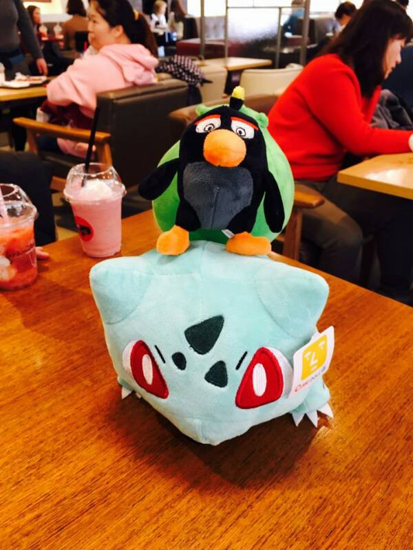 포켓몬 인형등 싸게 처분합니다--1