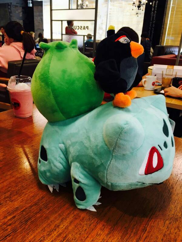 포켓몬 인형등 싸게 처분합니다--2