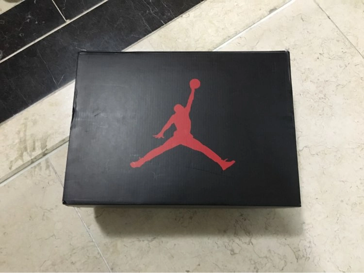 나이키 조던 6 얼터네이트 275 새상품 이미지
