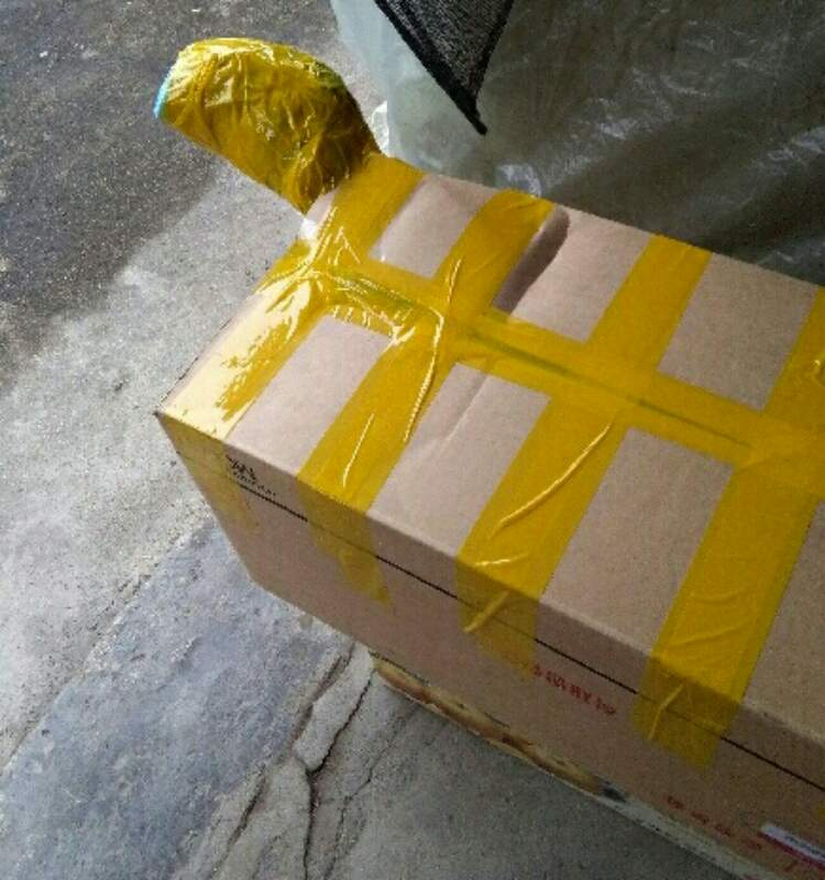 LG 싸이킹 스팀청소기 - 헤드가 3개 이미지