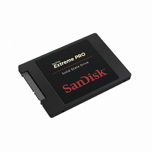 샌디스크 SSD Extreme Pro 480GB