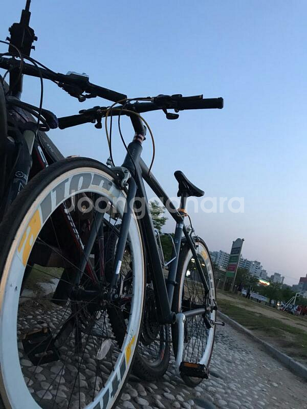 알톤 하이브리드 R6021 A급--1