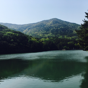 애플워치 미개봉 구매합니다