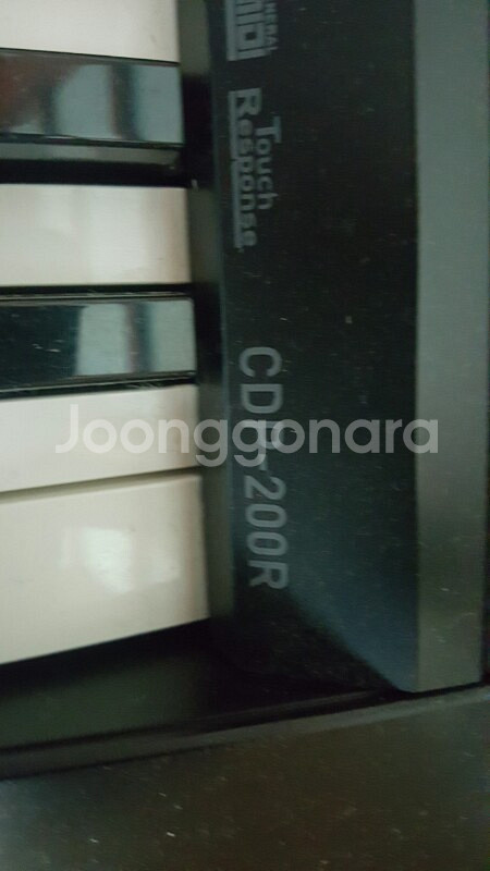 10회 미만 사용 카시오 CDP-200R 건반 판--1