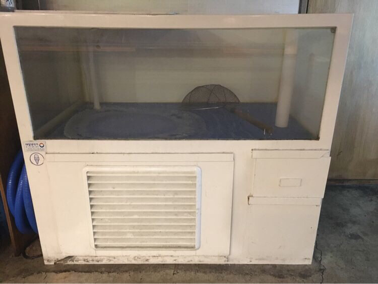 업소용 수족관 + 스시쇼케이스 한꺼번에 팝니다--1