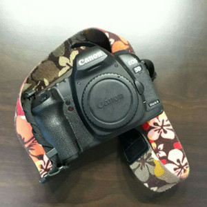 캐논 EOS 5D Mark II 판매합니다