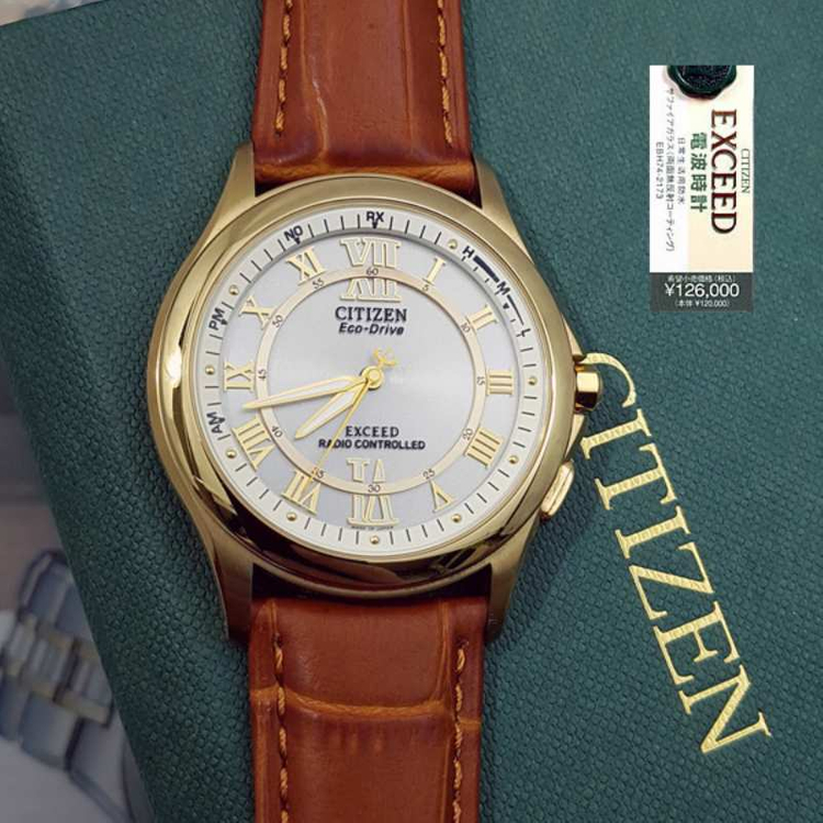 시티즌엑시드 ebg74-2173--1