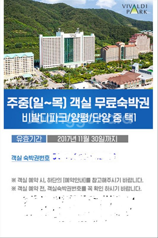 대명리조트 주중 무료숙박권 팝니다 (비발디파크 양--0