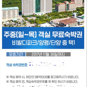 대명리조트 주중 무료숙박권 팝니다 (비발디파크 양