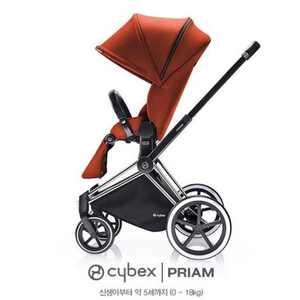 싸이벡스 cybex 프리암 PRIAM 유모차 + 