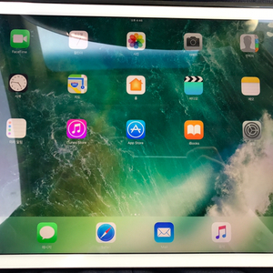 iPad PRO 12.9' 128G LTE+WIF