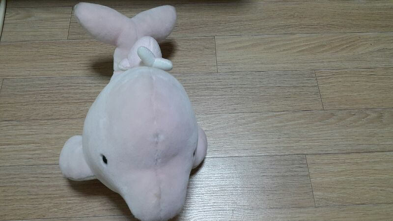 코엑스아쿠아리움 돌고래 인형 판매합니다 이미지