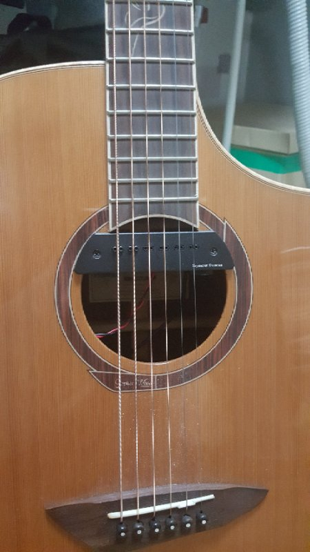 고퍼우드620+던컨맥믹 마그네틱 픽업 팔아요!--1