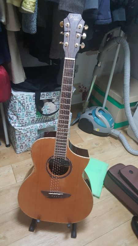 고퍼우드620+던컨맥믹 마그네틱 픽업 팔아요!--3