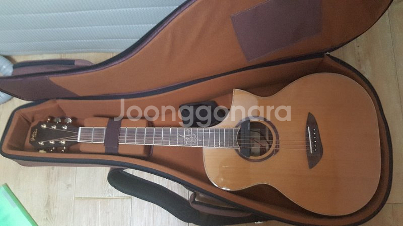 고퍼우드620+던컨맥믹 마그네틱 픽업 팔아요!--4