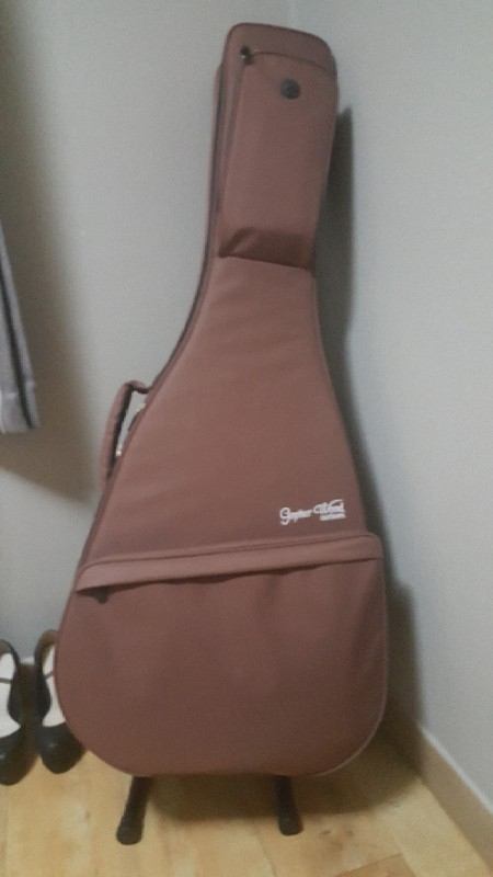 고퍼우드620+던컨맥믹 마그네틱 픽업 팔아요!--7