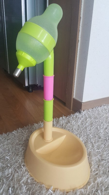 애견용품 세트 이미지