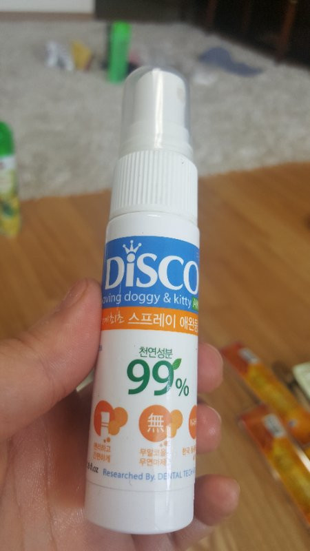 애견용품 세트 이미지