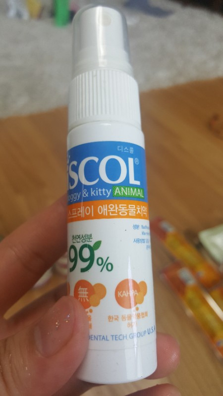 애견용품 세트 이미지