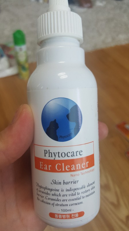 애견용품 세트 이미지