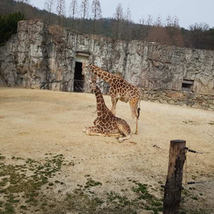 배스용 로드 릴 삽니다