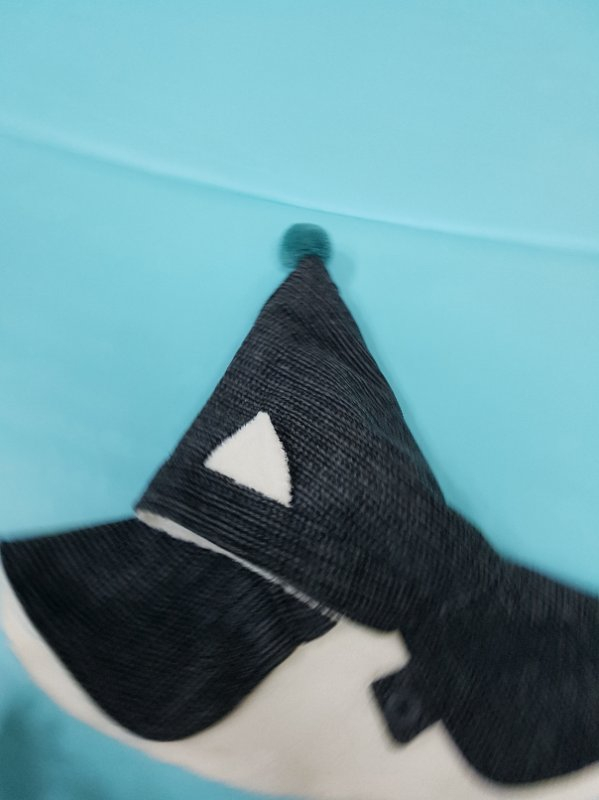 모이몰른 모자 옷 등.팝니다~~ 이미지