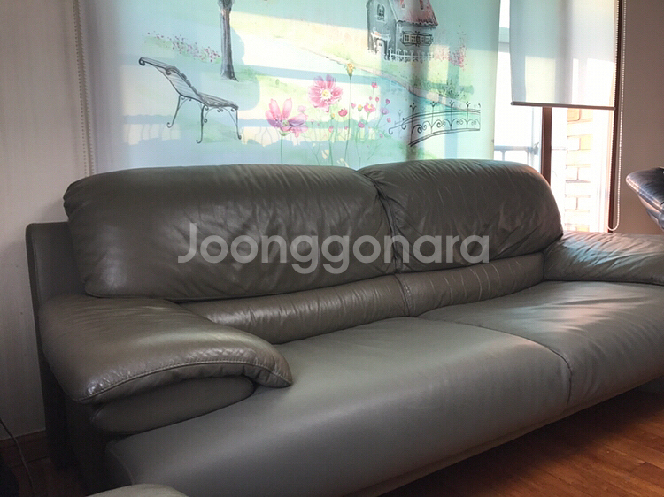 천연 가죽 고급 소파 3인용--1