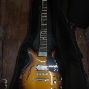 EPIPHONE 에피폰 ES-339 Pro ES3