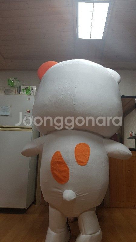 에비츄인형탈--3