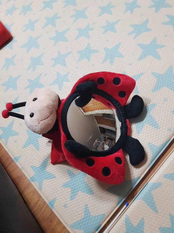 카시트후방안전거울 이미지