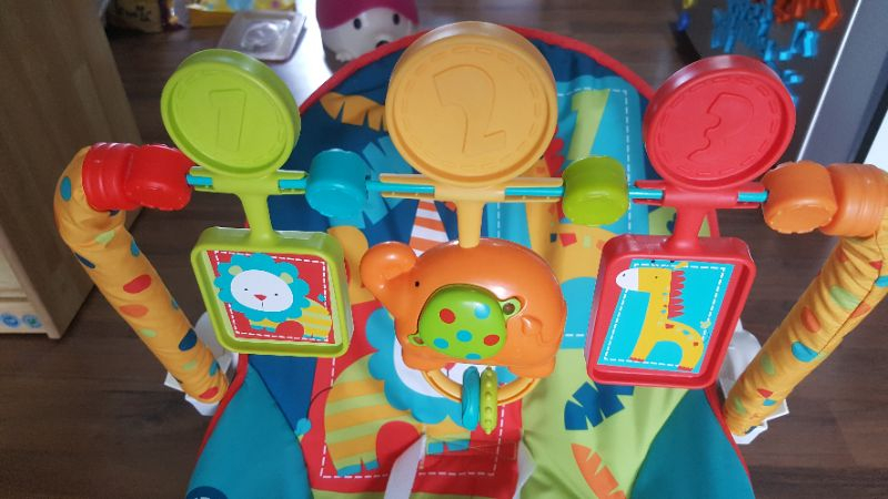 피셔프라이스 바운서 이미지