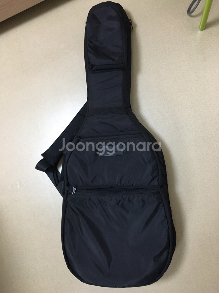 무라디언 일렉기타 싱글 케이스--1