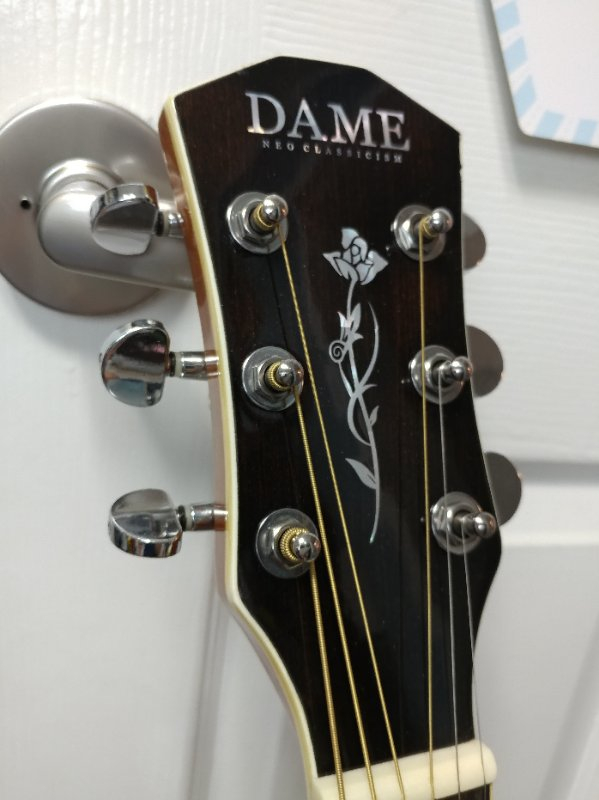 DAME Lilies 70 Concert 데임기타--4