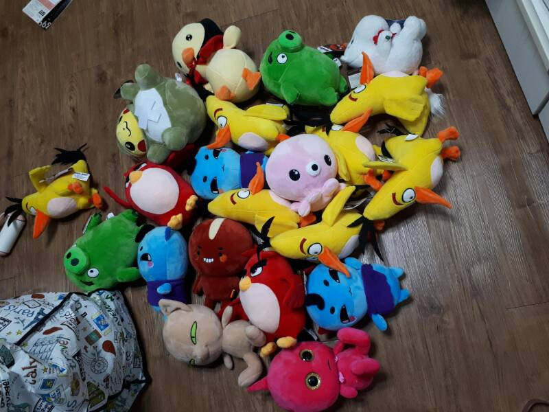 전주 뽑기인형 포켓몬 일반인형판매해요--1