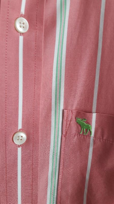 아베크롬비피치 남자셔츠(L사이즈)--3