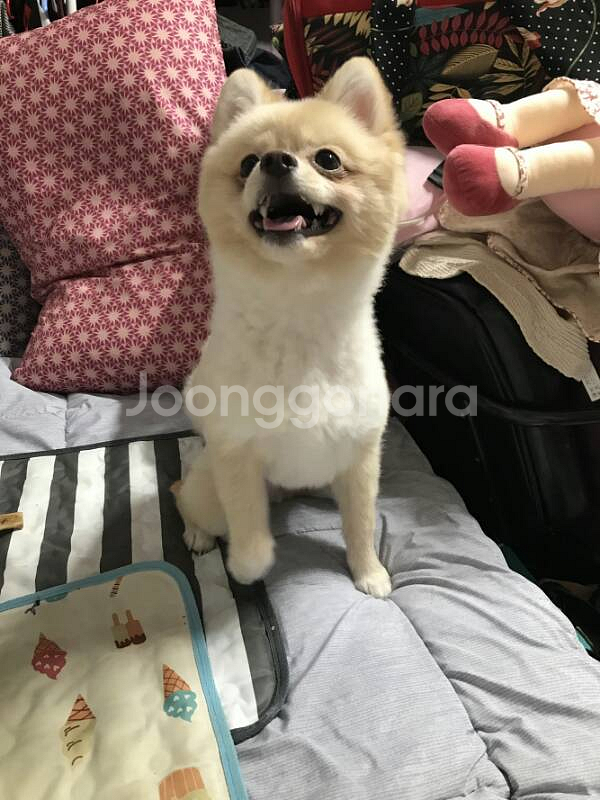 동묘앞역 인근 주차권사요!--0