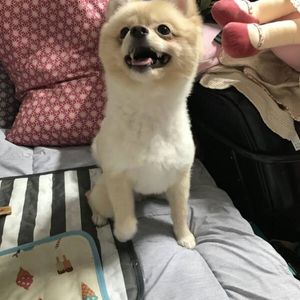 동묘앞역 인근 주차권사요!