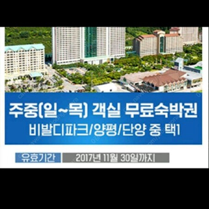 대명주중숙박권