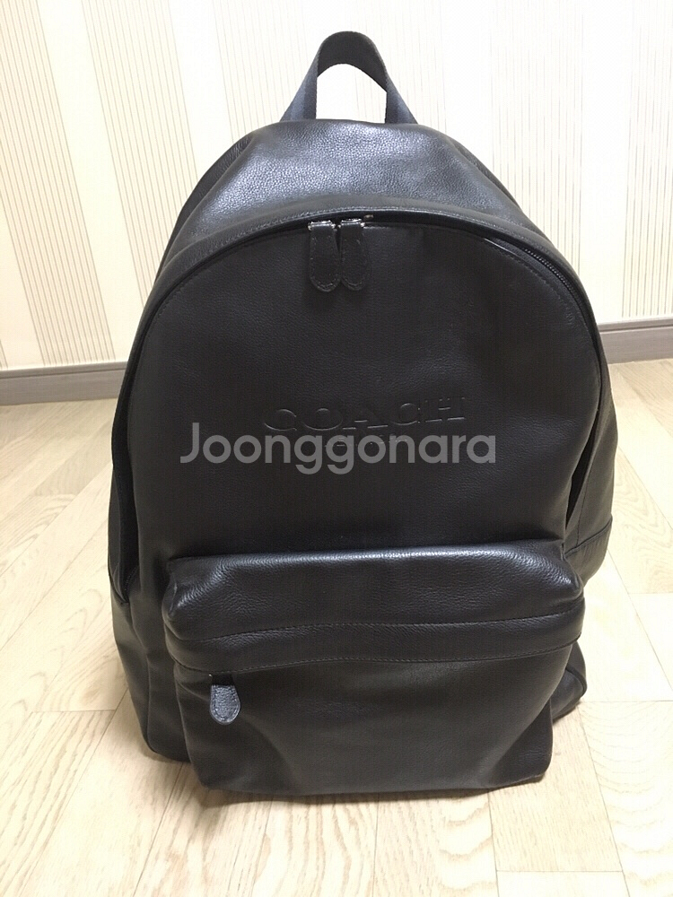 코치 정품 가죽백팩--0