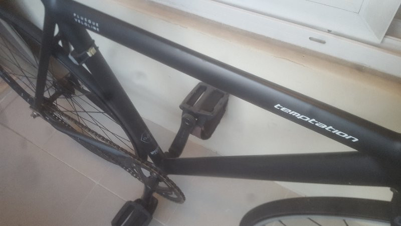 자전거 픽시 벨로라인 템테이션 상태SSS--2