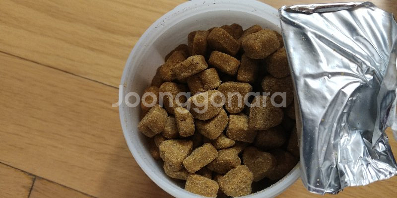 강아지관절영양제인핸서--0