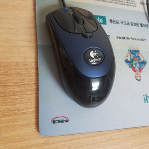 g1 마우스 800dpi 블루