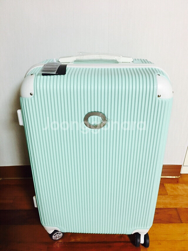 ORNELLI 24inch 캐리어--1
