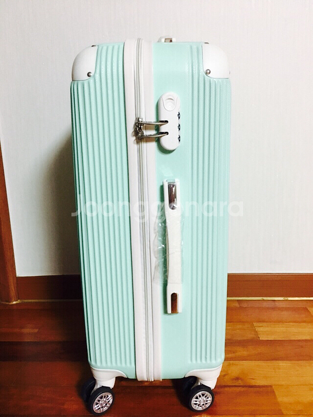 ORNELLI 24inch 캐리어--2