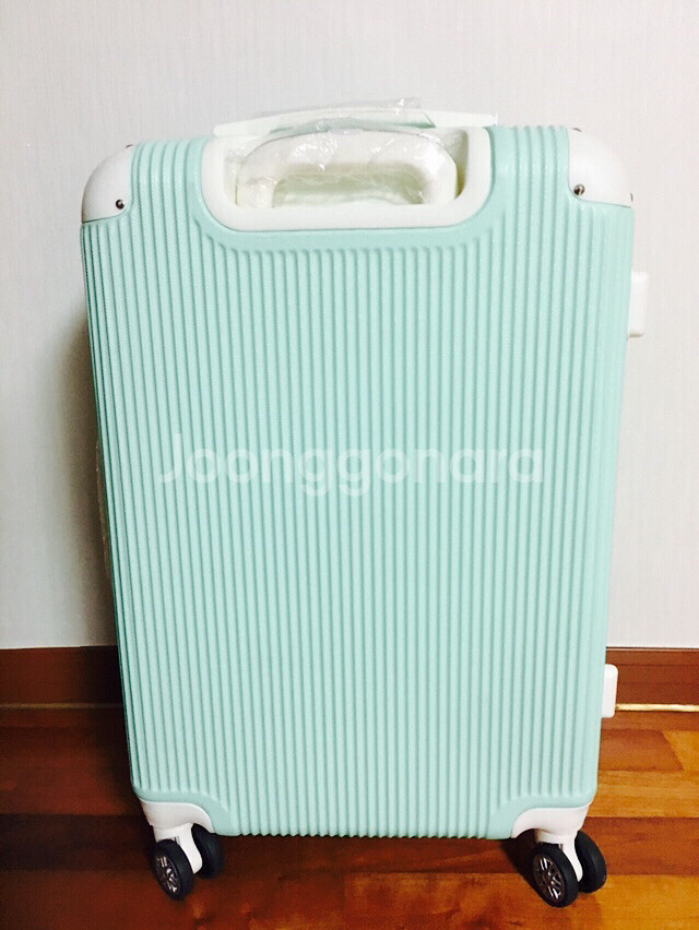 ORNELLI 24inch 캐리어--3